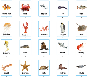 英语教具教室装修装饰海报卡片野生农场海洋动物全高清图a4塑封