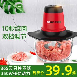 伯旺电动绞肉机家用多功能小型塑料碎肉机大容量双档全自动打肉机