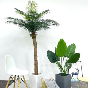 大型假树盆栽室内外热带雨林棕桐树假绿植落地装饰仿真植物椰子树
