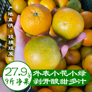 【小花】桂林高山夏橙脐橙酸甜新鲜橙子广西水果应季现摘榨汁专用