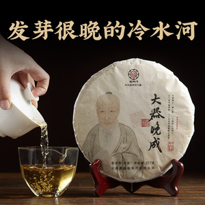 福聘号冷水河高杆古树茶易武刮风寨混生林头春茶叶云南普洱生茶饼