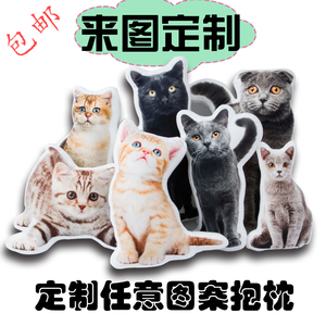 diy定制抱枕3d照片定做宠物枕头猫咪狗异形来图仿真礼物可印靠枕