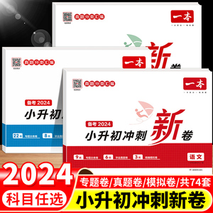 2024一本小升初冲刺新卷语文数学英语全套部编人教版同步试卷测试卷人教六年级下册卷子期中期末单元卷检测毕业总复习真题升学考试