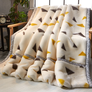 拉舍尔毛毯冬季加厚珊瑚法兰绒毯子床单人夏季铺床春秋被子床上用
