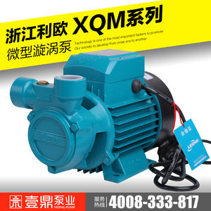 利欧水泵XQm50 60 70 80微型旋涡泵 自来水管道增压泵 锅炉加压泵