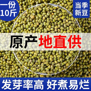 新货大绿豆10斤真空装农家新鲜小绿豆发豆芽煮粥汤易沙夏天新豆子