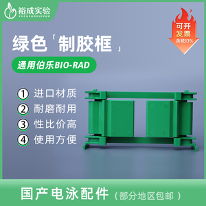 伯乐 bio-rad 1653304 小型垂直电泳制胶框 夹胶框 绿色制胶框