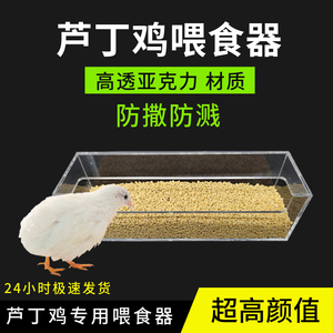 芦丁鸡喂食器鹌鹑食槽防溅防撒喂鸟器芦丁鸡亚克力透明喂食盒料槽