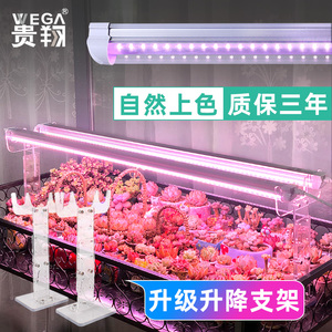 植物补光灯台灯 植物补光灯台灯品牌 价格 阿里巴巴 植物补光灯台灯 植物补光灯台灯品牌 价格 阿里巴巴