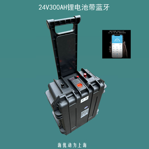 24V48V60V动力锂电池 带BMS管理 定制RS485通讯端口 手机蓝牙通讯