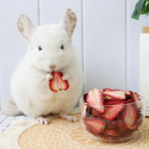 龙猫草莓片自制纯手工小宠物兔兔仓鼠豚鼠草莓干零食预防缓解便秘