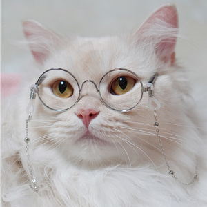 宠物猫狗眼镜链条挂脖珍珠金珠潮流斯文猫咪布偶蓝白猫眼镜装饰品