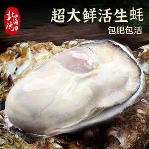北海湾 生蚝鲜活新鲜海蛎子特大牡蛎贝壳海鲜5斤带箱即食水产批发