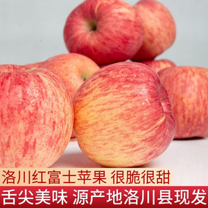 洛川苹果红富士陕西特产10斤整箱新鲜水果当季脆甜包邮整箱不打蜡