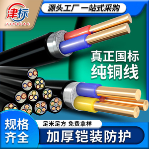 国标YJV22铠装铜芯电缆线2 3 4 5芯2.5 4 6平方铜线电缆线铜电缆