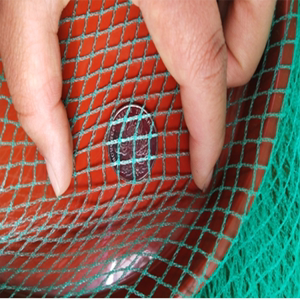 养殖网养鸡网围栏防护网小网孔0.5无结网樱桃果树家用野鸡防鸟网