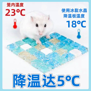 冰凉垫仓鼠降温消暑冰床金丝熊凉席垫空调散热板夏季用品避暑神器