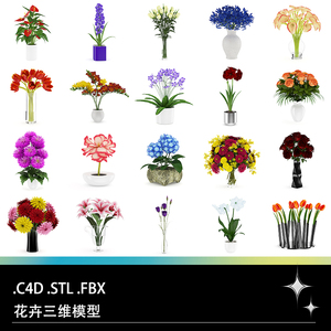 C4D FBX STL花卉康乃馨玫瑰月季非洲菊郁金香花烛风信子模型素材