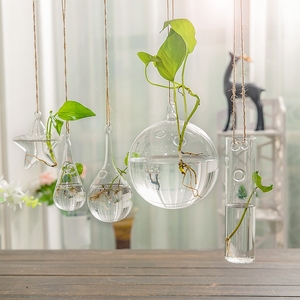 创意玻璃水培花瓶墙上悬挂客厅小吊瓶绿萝水养透明植物墙壁挂装饰