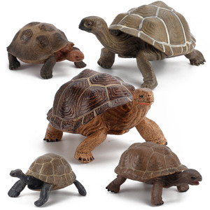 海洋世界陆龟动物模型 仿真实心乌龟加拉帕戈斯象龟模型摆件玩具