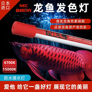 NEC鱼缸灯龙鱼潜水金红龙专用防水日本土进口T8三基增艳发色灯管