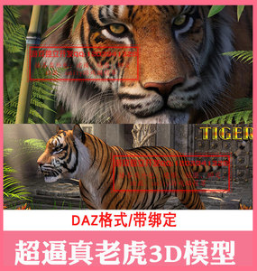 DAZ写实真实逼真影视级老虎3D模型带绑定动物怪物怪兽四腿东北虎