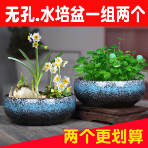 无孔水仙花盆陶瓷特价清仓铜钱草睡莲碗莲家用大号水培植物花盆