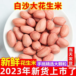 2024年新货花生米生新鲜花生特级榨油粉红皮大粒花生仁种子大颗粒
