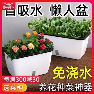 水栽培花盆 淘宝拼多多热销水栽培花盆货源拿货 阿里巴巴货源