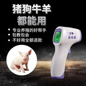 动物体温枪猪用高精度测量兽用体温表宠物猫猪羊温度计。测温牛马