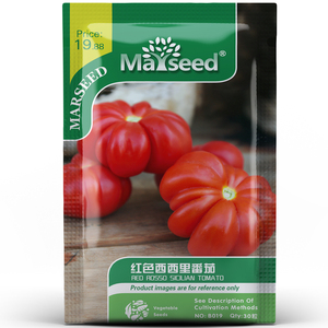 【掌柜推荐】意大利农家传家宝红西西里大小马蹄番茄西红柿种子
