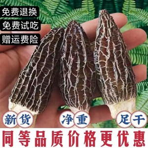 2024年头茬精品羊肚菌干货野生500g菌菇煲汤食材云南土特产旗舰店