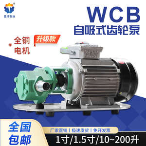 WCB齿轮油泵自吸式电动抽油泵高粘度柴油食用油抽油泵不锈钢油泵
