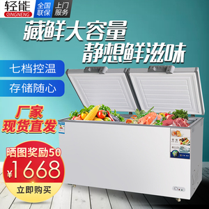 轻能商用冷柜双门大冰箱大容量家用卧式小冰柜单门超市鲜肉冷冻柜