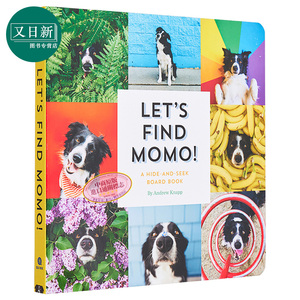 预售 Lets Find Momo寻找莫莫1 让我们找到Momo 英文原版纸板书 A Hide-And-Seek Board Book 狗狗找找书 捉迷藏的书 又日新
