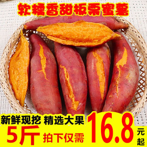 西瓜红红薯5斤 农家自种新鲜红皮红心板栗薯蜜薯糖心沙地地瓜山芋