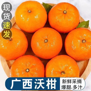 广西武鸣沃柑9斤新鲜采摘当季水果整箱包邮甜蜜多汁柑橘桔子橘子5