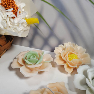 立体花朵水晶滴胶模具3D康乃馨玫瑰花冰块模香薰燕菜慕斯硅胶磨具