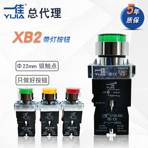 一佳金属LED带灯自复位开关XB2-10DN自锁点动按钮12V24V220V380V