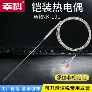 K型铠装热电偶E/J型探头探针式热电阻WRNK-191温度传感器可弯曲