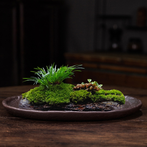 苔藓吸水石盆器盆景盆长方形菖蒲假山上水石水培紫砂陶瓷底盘盆栽