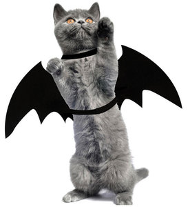 万圣节宠物衣服装扮狗狗搞怪搞笑服装猫咪蝙蝠翅膀变身装个性用品