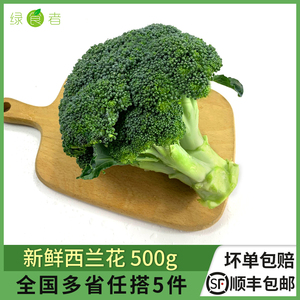 新鲜西兰花500g 脆嫩青花菜绿花菜西蓝花椰菜时令蔬菜 满5件包邮
