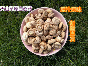 新疆土特产野蘑菇口蘑白蘑草原白蘑菇野生菌500克干品包邮