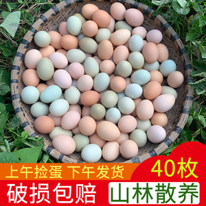 正宗土鸡蛋农家散养新鲜农村自养天然40枚草鸡蛋笨鸡蛋乌绿壳蛋