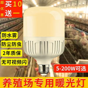 蛋鸡养殖场专用照明灯暖光LED黄光灯泡鸡舍补光灯E27螺口节能灯
