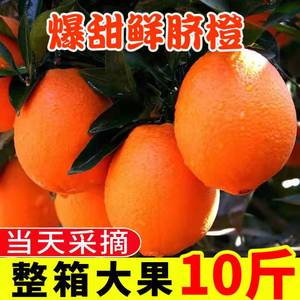 现摘江西赣南麻阳冰糖脐橙薄皮10/5斤/2斤橙子新鲜水果大果高山橙