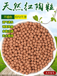豆芽花花花 豆芽花花花品牌 价格 阿里巴巴 豆芽花花花 豆芽花花花品牌 价格 阿里巴巴