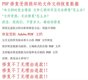 2023年PDF修复受损损坏的文件文档恢复数据文档发生错误修复软件