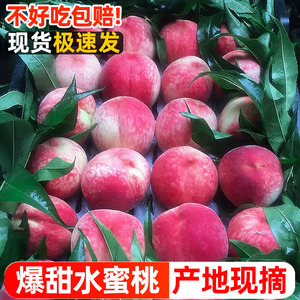 桃子新鲜水蜜桃现摘10斤水果应当季整箱脆甜毛桃孕妇当季红蜜桃5